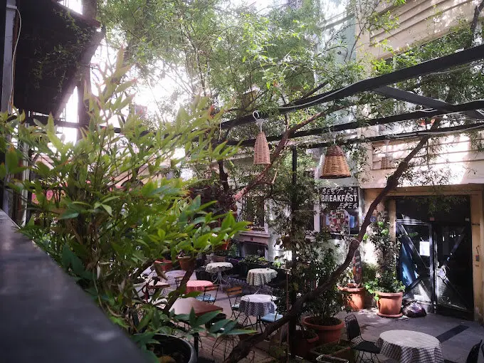 Стамбул: Хостел Gafa Garden