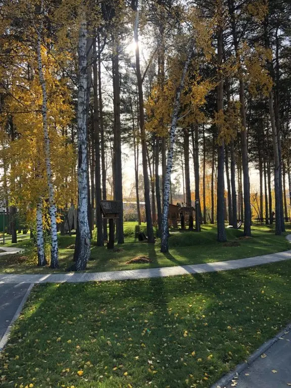 Новосибирск: Квартира В столице Сибири