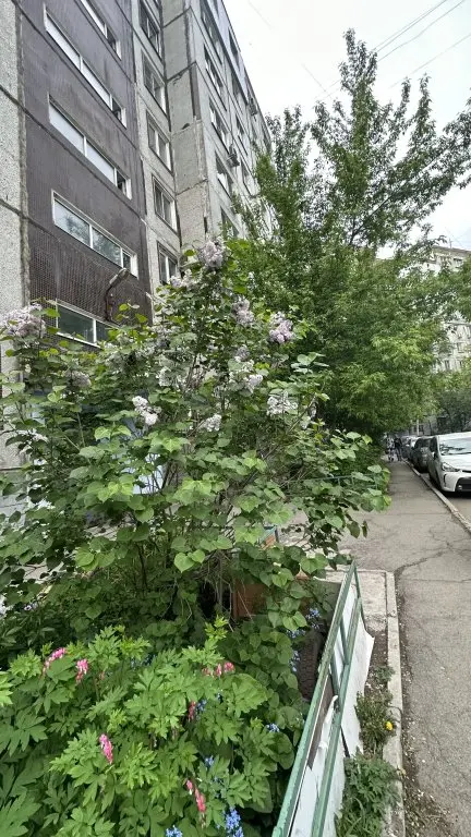 Хабаровск: Наш дом, ул. Воронежская 40