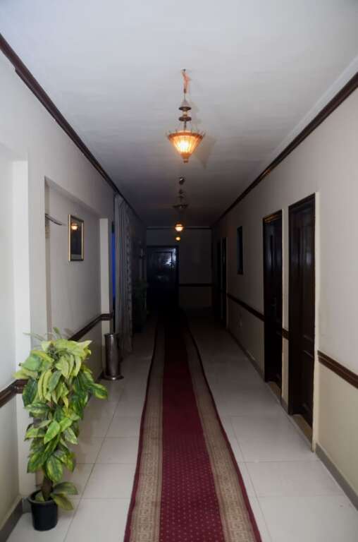 Александрия: New Siesta Hotel