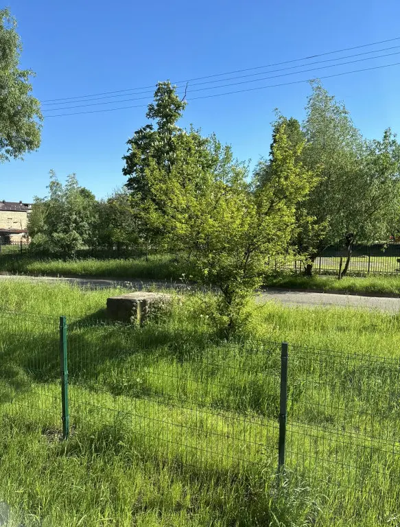 Калининград: Квартира Spruce Alley