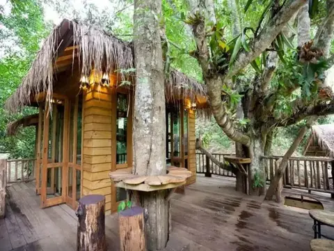 Dreamcaught Tree House — фото 1