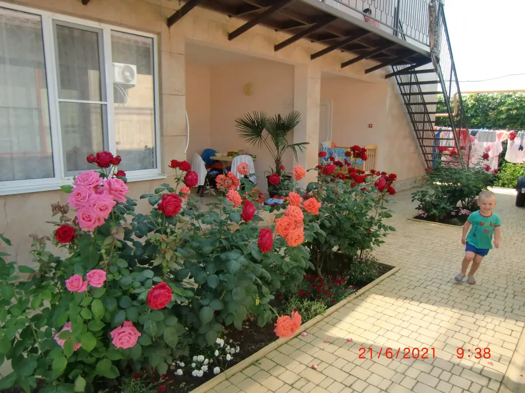 Пересыпь: Yakor Mini-hotel