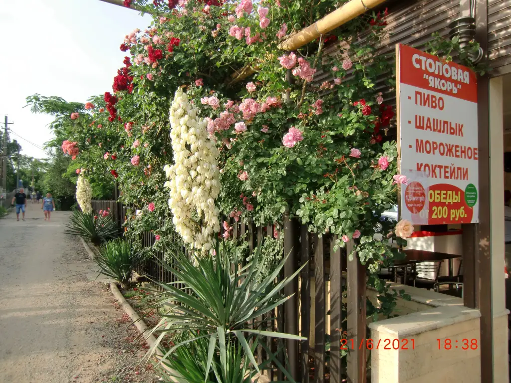 Пересыпь: Yakor Mini-hotel