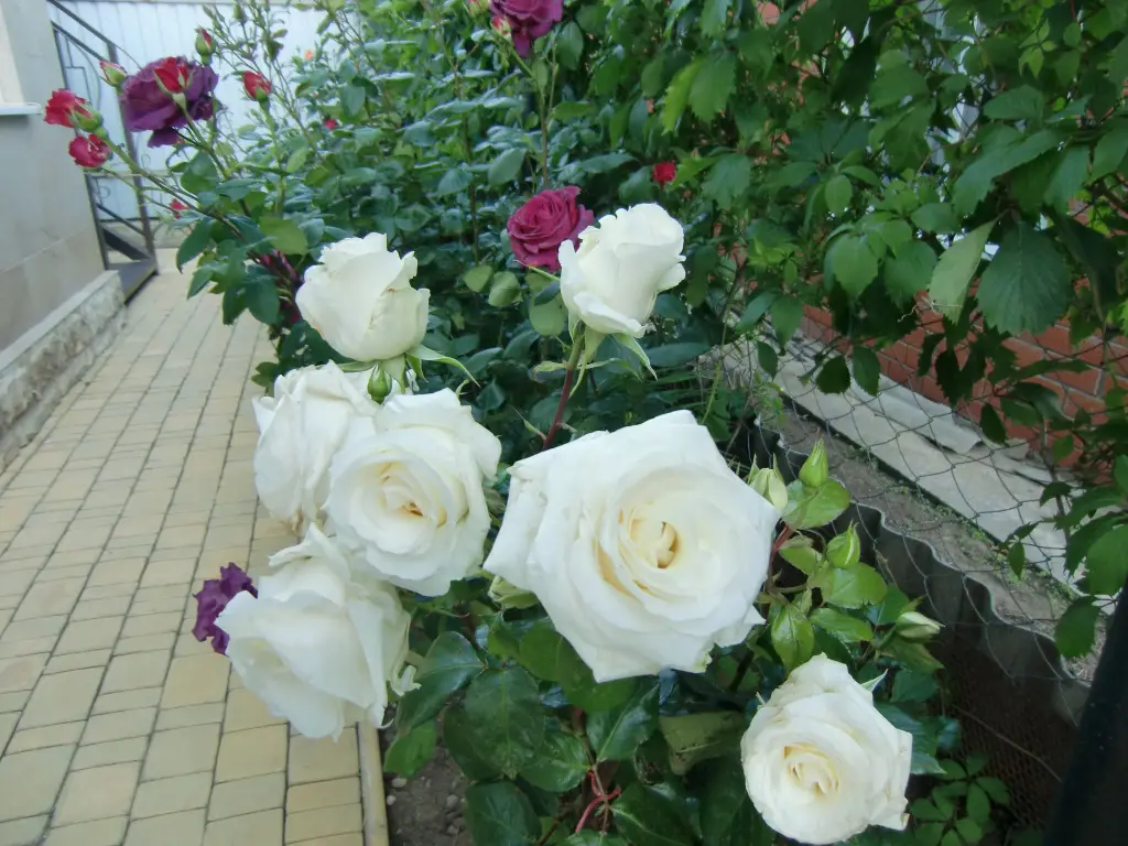 Пересыпь: Yakor Mini-hotel