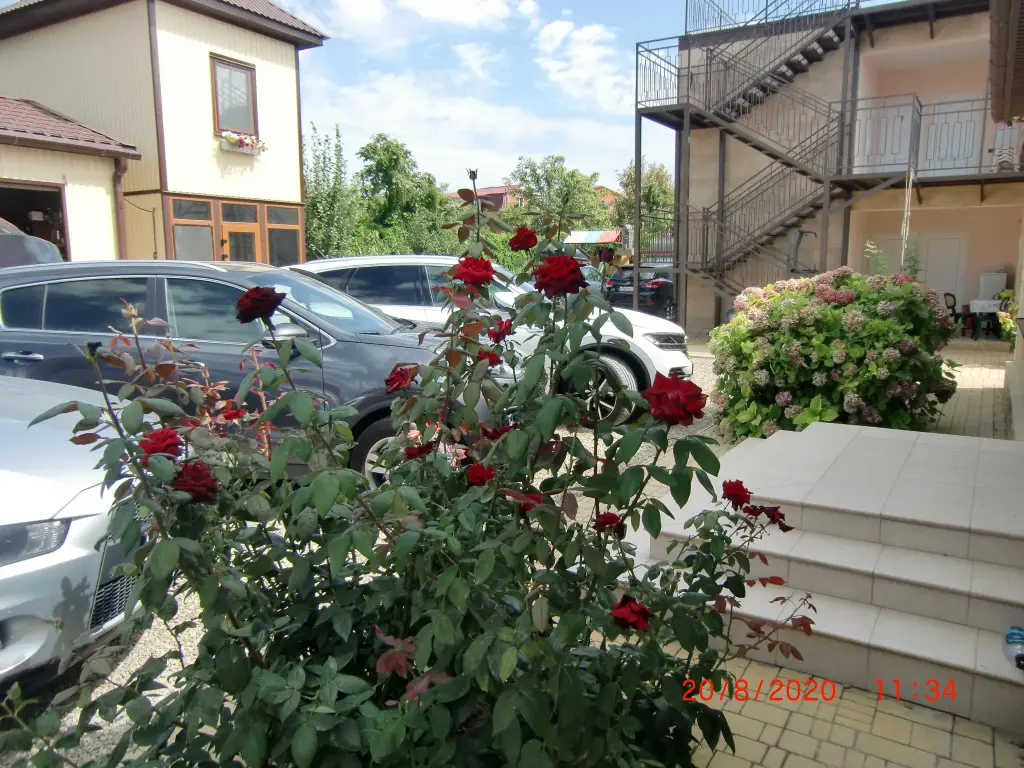 Пересыпь: Yakor Mini-hotel