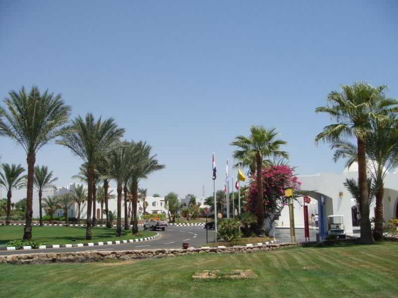 Шарм-эш-Шейх (Шарм-эль-Шейх): Domina Coral Bay Elisir Suites