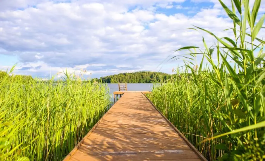 Иново Малое: Бунгало Inovo lake view