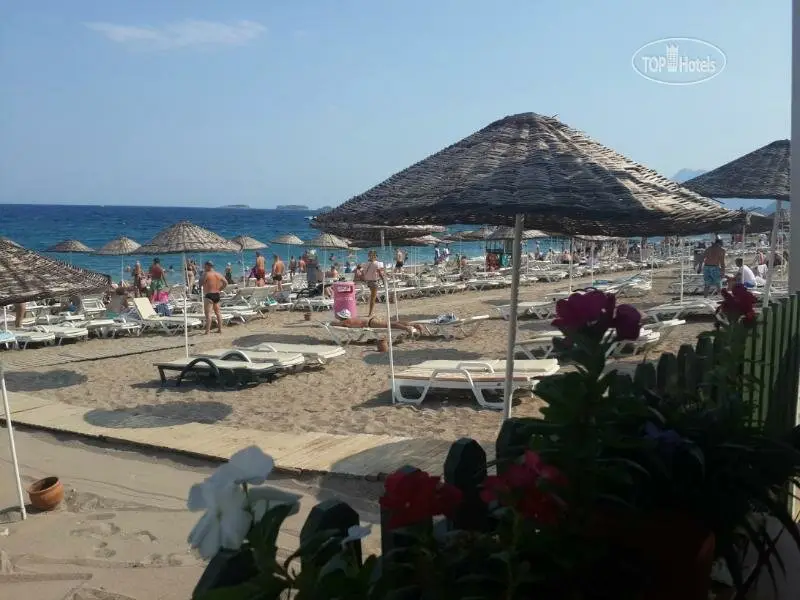 Текирова: Festival Otel Tekirova