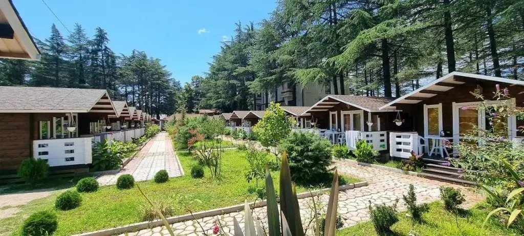 Курортный отель Eco House Pitiunt — фото 1