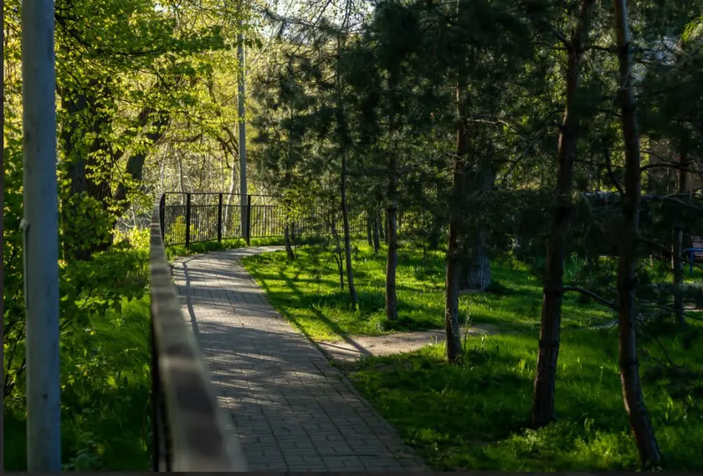 Калининград: Квартира Панорама