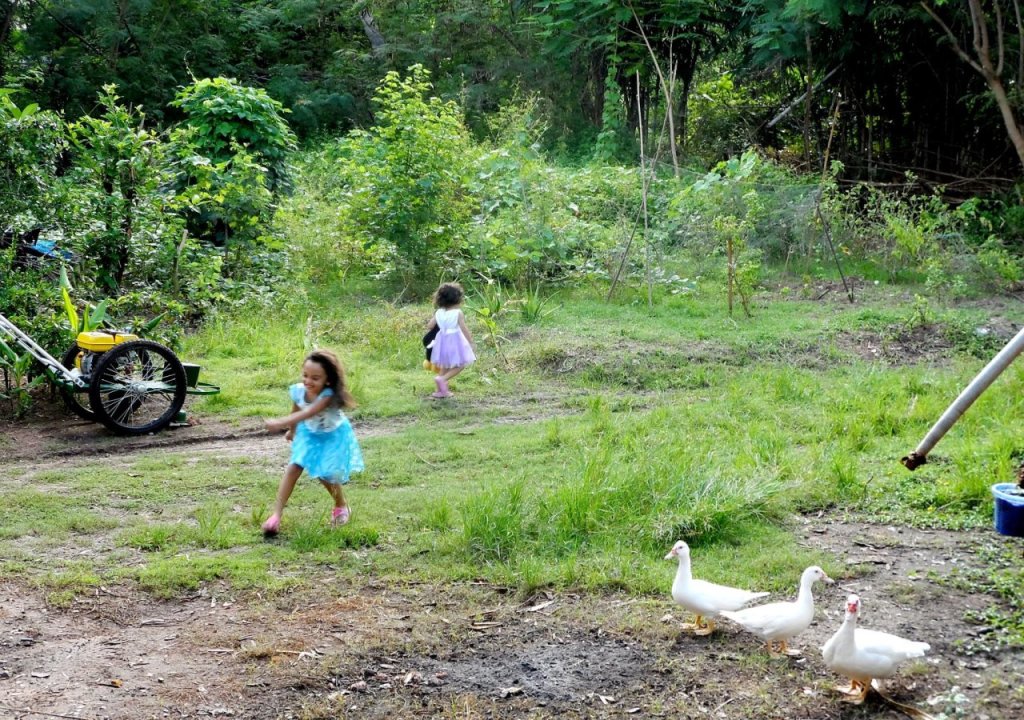 Кхок Круат: Lamai Homestay And Guesthouse