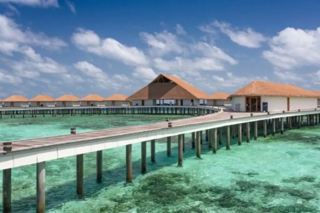 Атолл Тхаа: Cinnamon Velifushi Maldives