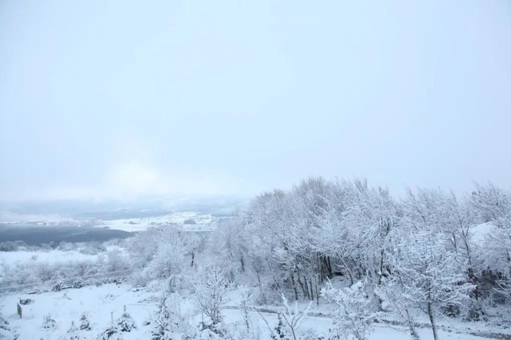 Болу: Yaban Yasam Chalets