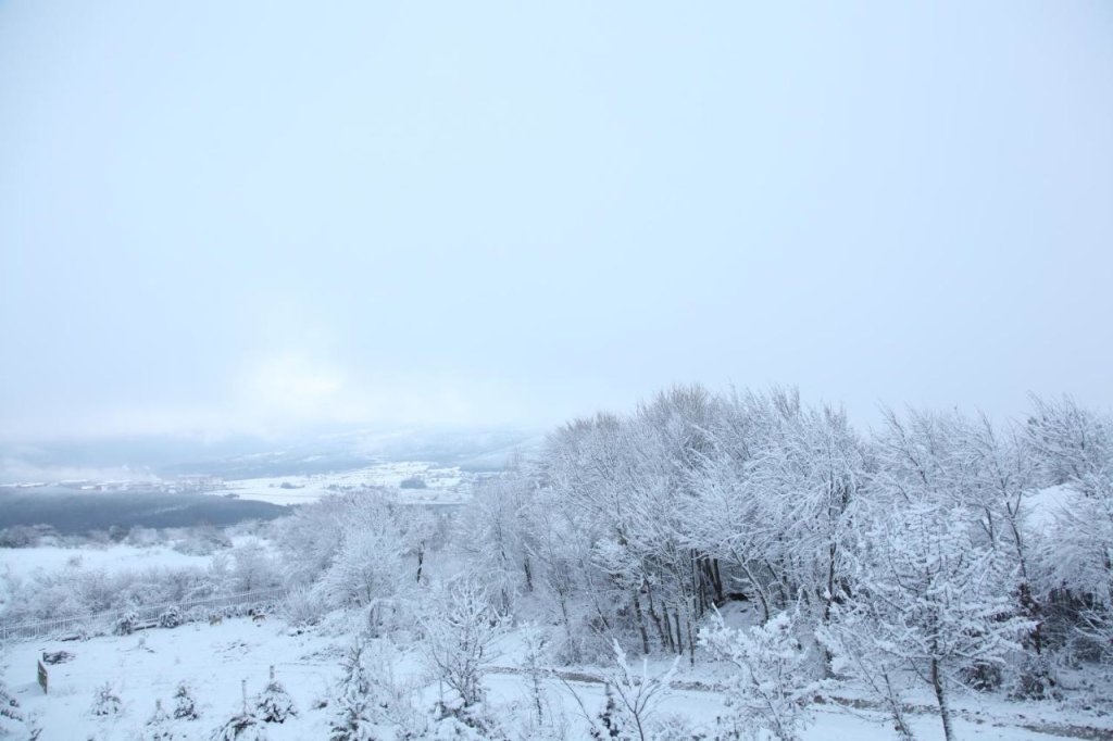 Болу: Yaban Yasam Chalets