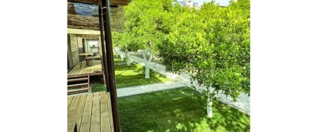 Orange Garden Tree Houses Hotel — фото 1