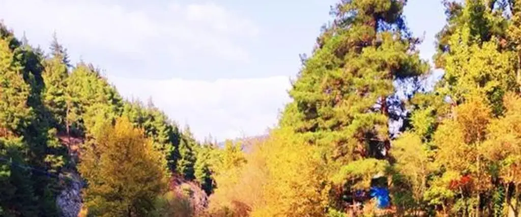 Дюгюнджюлер: İpek Böceği Park
