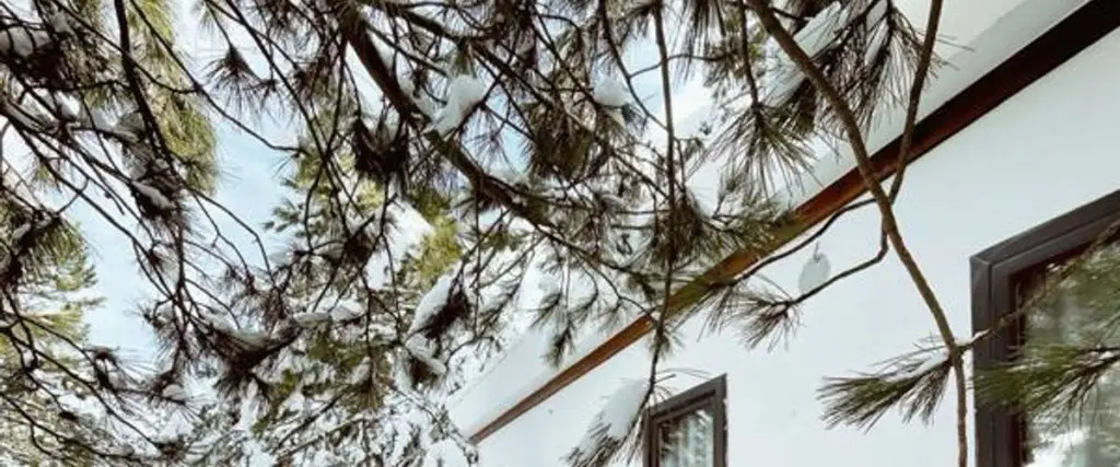 Шерефье: Red Pine Guest House