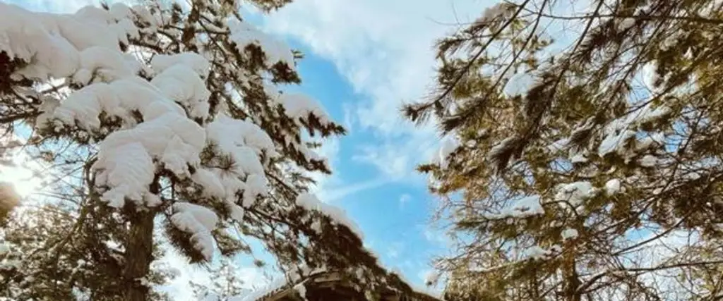 Шерефье: Red Pine Guest House