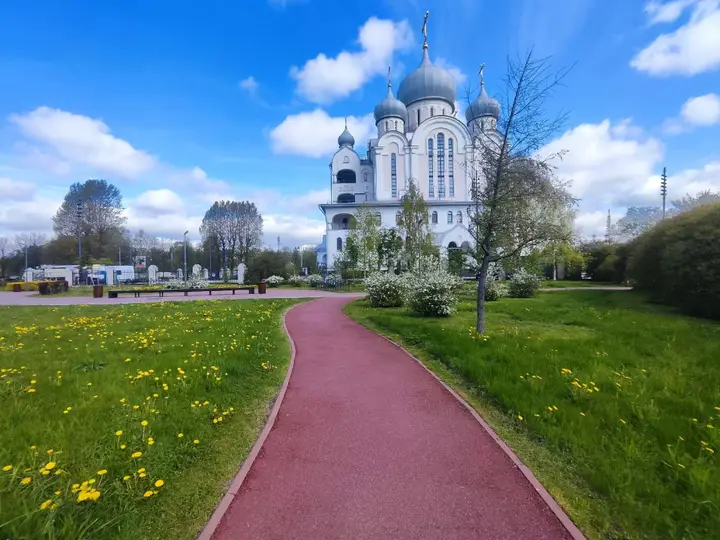 Санкт-Петербург: Квартира Зефирные облака Мечникова Альбрехта Боткинская Сколиолоджик Scolio