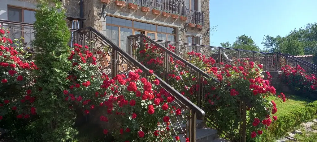 Гарни: Hinyard Hotel