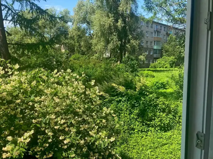 Старая Русса: Квартира Тихая в центре курортного города