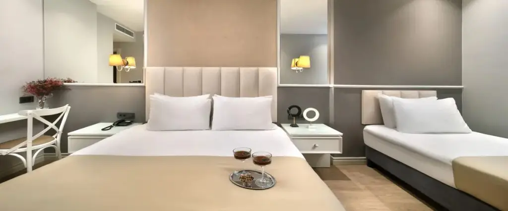 Стамбул: Ess  Hotel