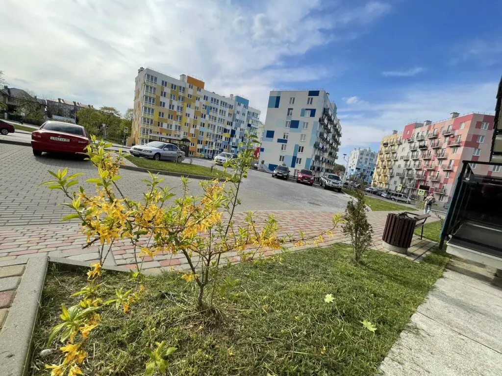 Светлогорск: Квартира Элеонора