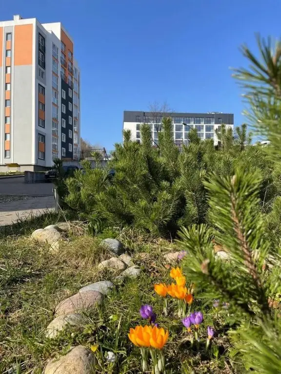 Светлогорск: Апартаменты Уютные