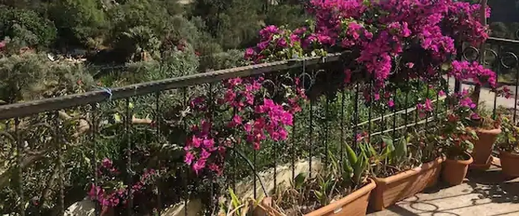 Zeynep House Muğla — фото 1