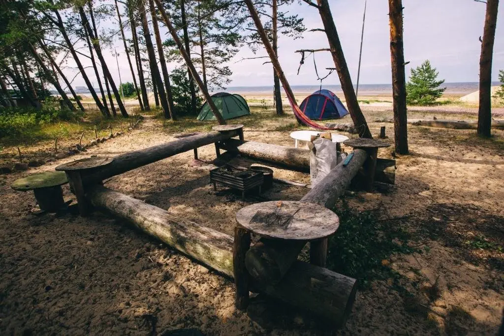 Сосновый Бор: Сёрф-станция Wind Hunters Station (Винд Хайнтерс Стейшен)