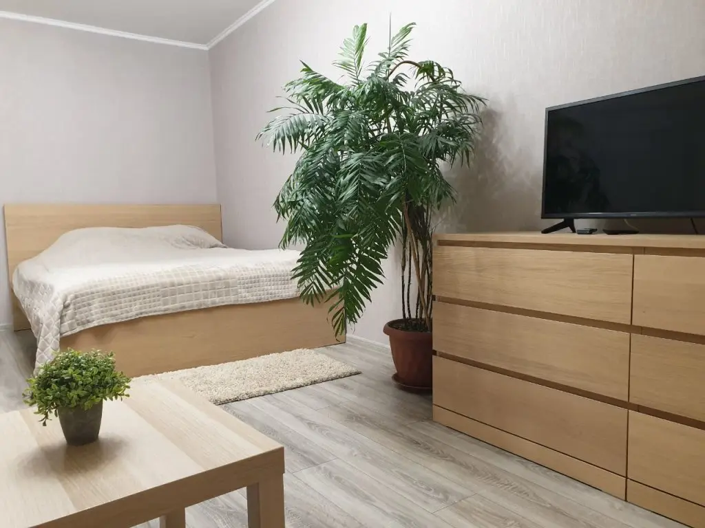 Квартира BestApartPetergof — фото 1