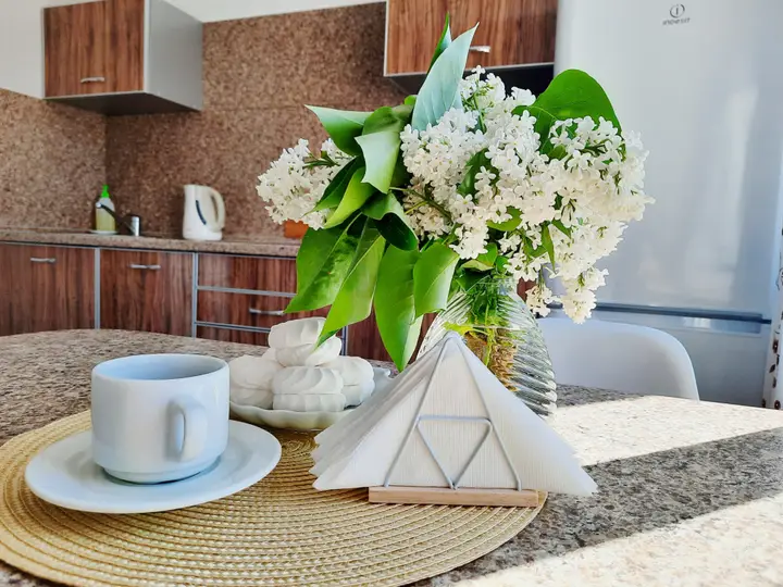 Нижний Новгород: Квартира Уютная квартира на набережной, рядом с аэропортом
