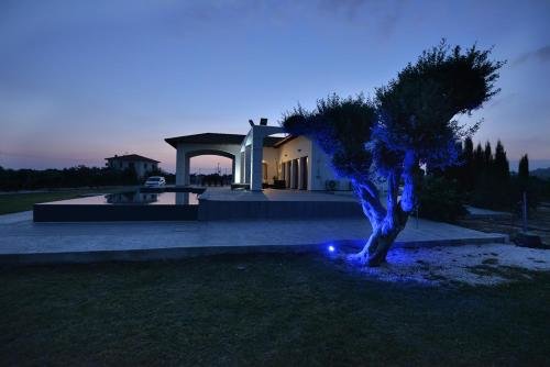 Скарину: Villa Olivo Maroni