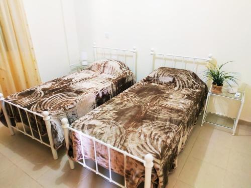 Киссонерга: Kissonerga Apartment
