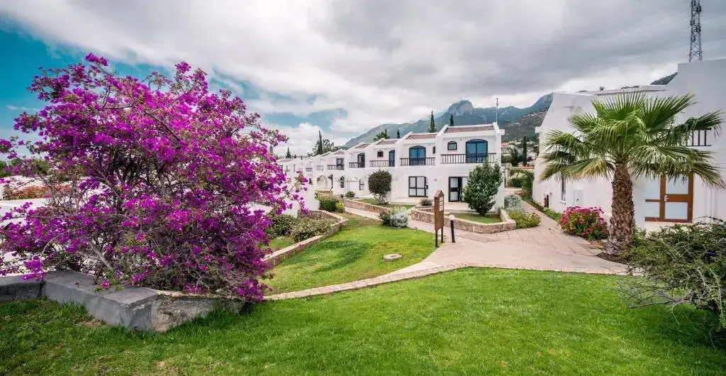 The Olive Tree Hotel — фото 1