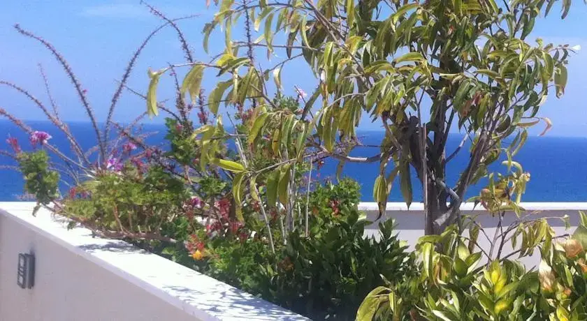 Ларнака: Larnaca Marina Seafront Penthouse