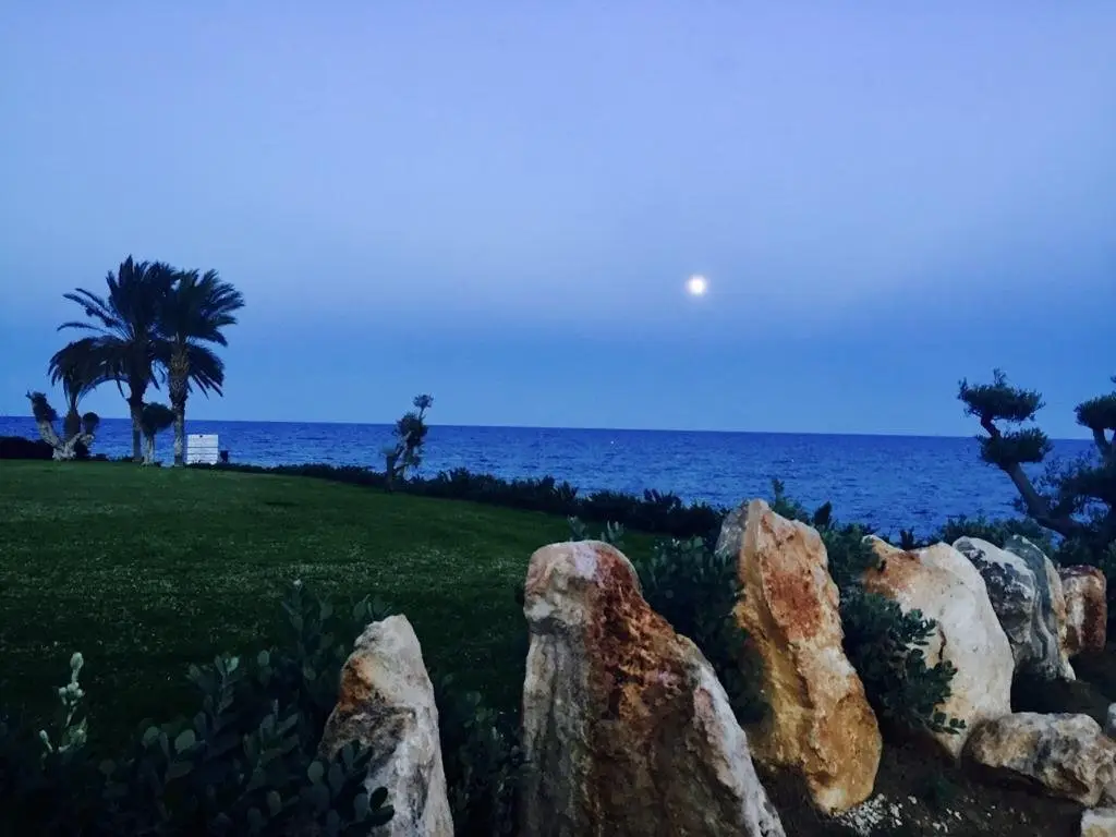 Протарас: Asteria Villa by the Sea