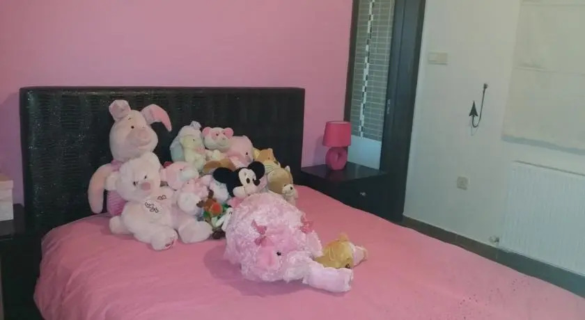 Гермасойя: Frosdem House