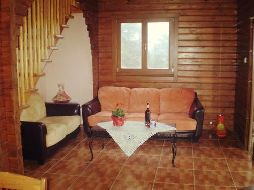 Какопетрия: Agros Timber Log House