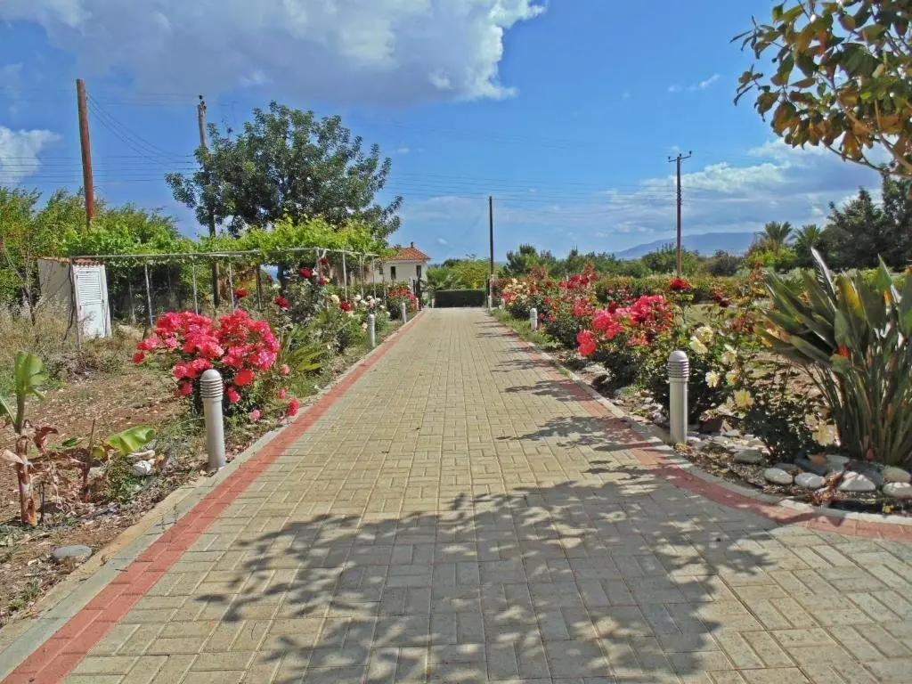 Полис Хрисохус: Eliofos Luxury Villa