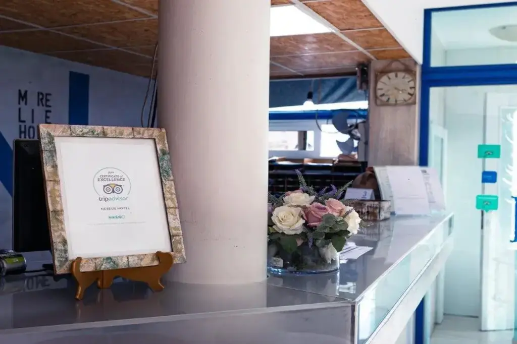 Пафос: Nereus Hotel