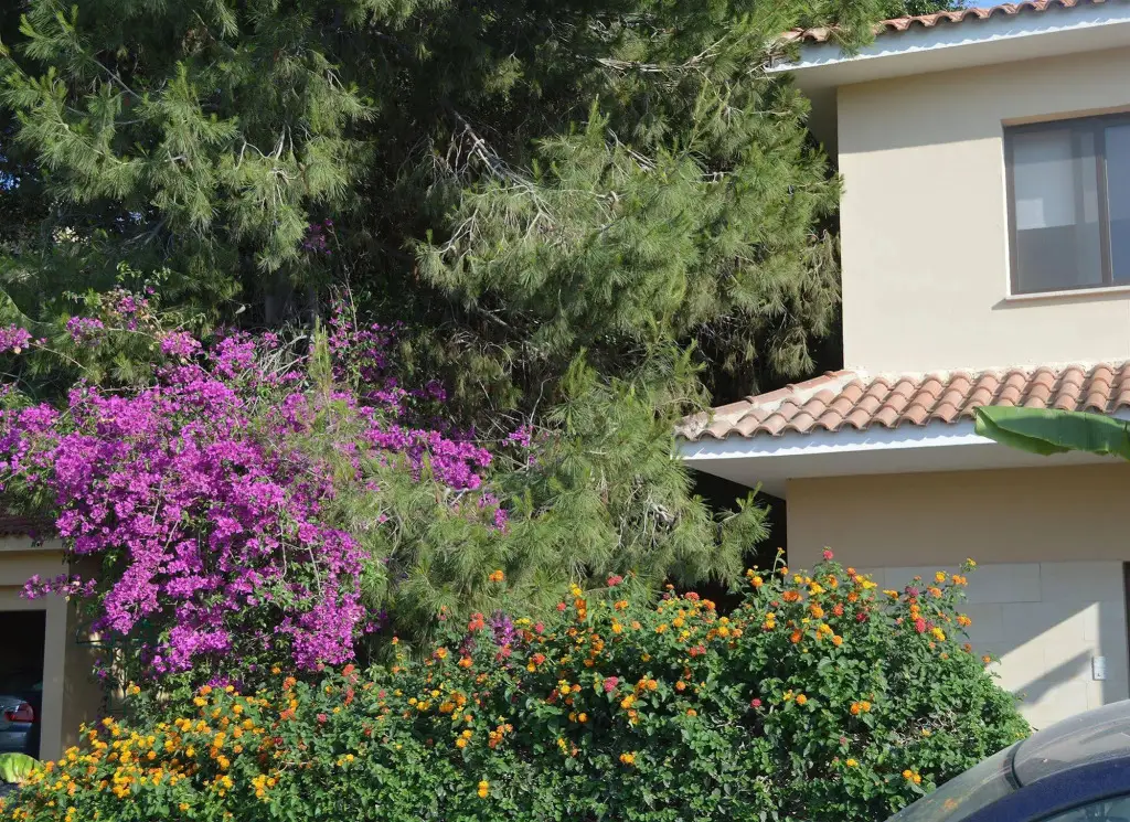 Ороклини: Reginas Exclusive Villas
