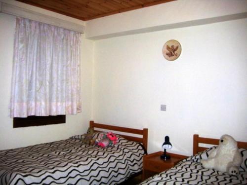 Какопетрия: Floras House