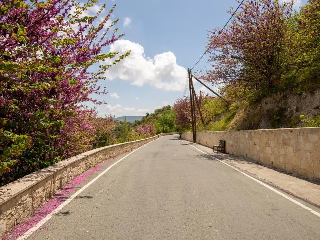 Васа: To Chorio