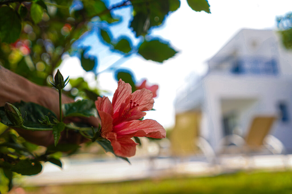 Пейя: Azzurro Luxury Holiday Villas