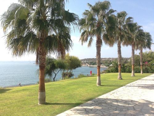 Масотос: Nikis Beach House
