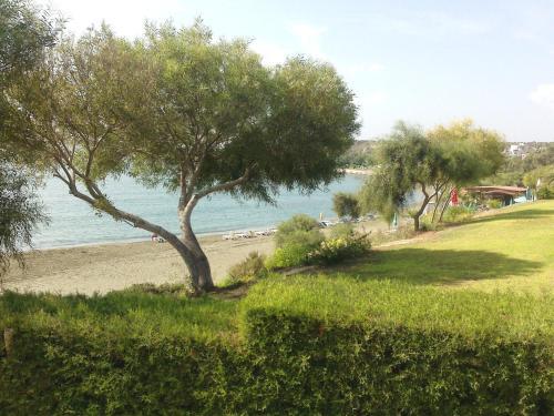 Масотос: Tonia Beach House