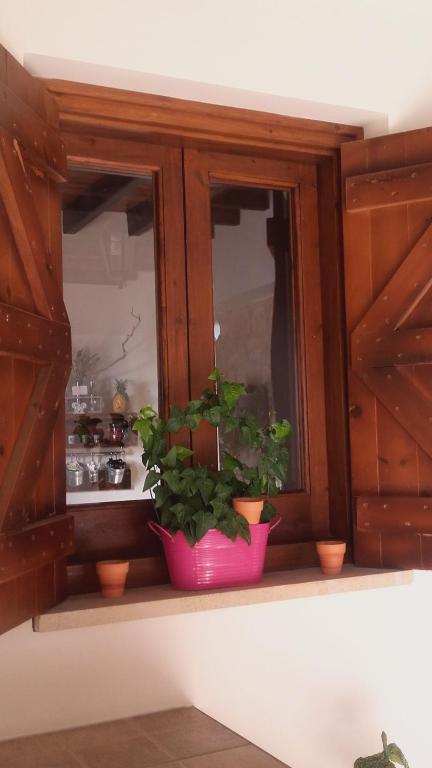Какопетрия: Magdalous House