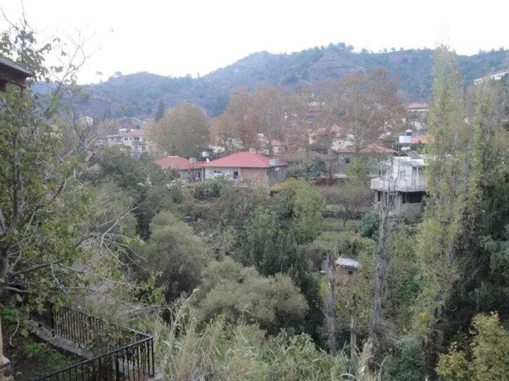 Какопетрия: Irenes House